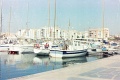 20110310_045