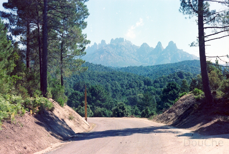 20110316_034.jpg