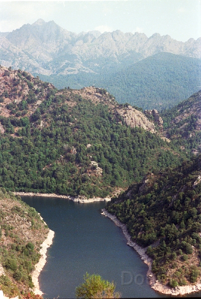 20110316_041.jpg