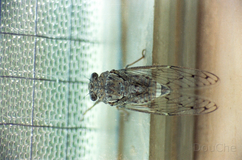 20110309_030.jpg