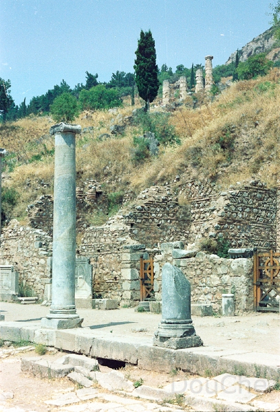 20110309_048.jpg