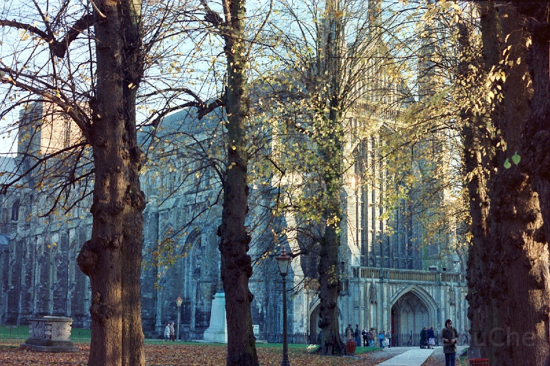 20110305_016.jpg