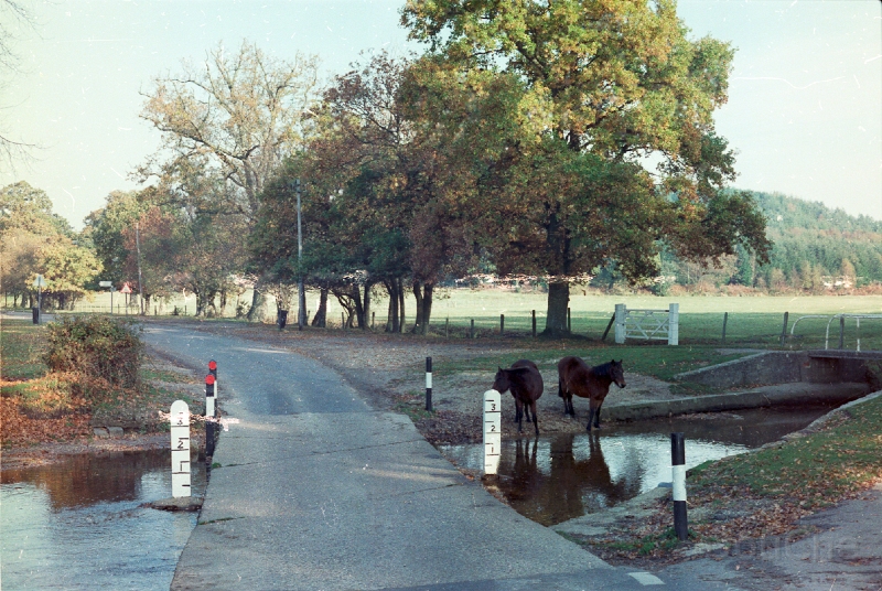 20110305_055.jpg