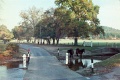20110305_055