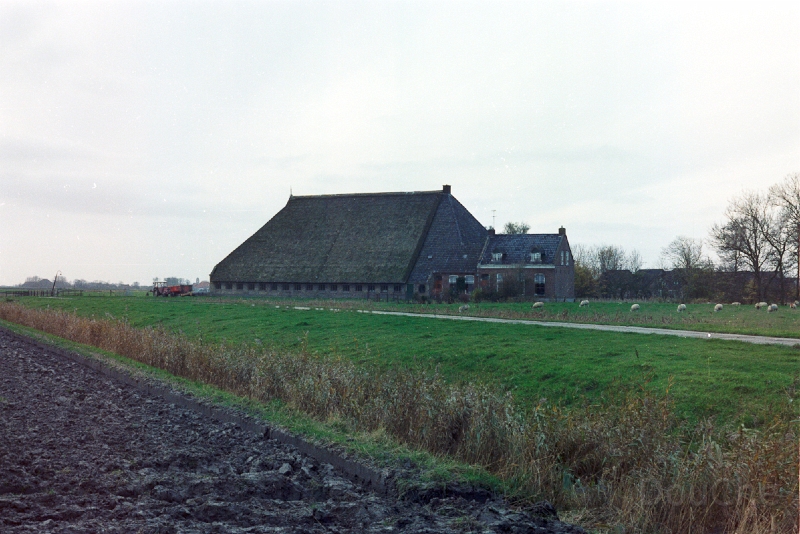 20110306_034.jpg