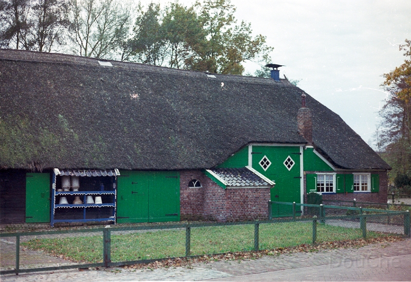 20110320_003.jpg