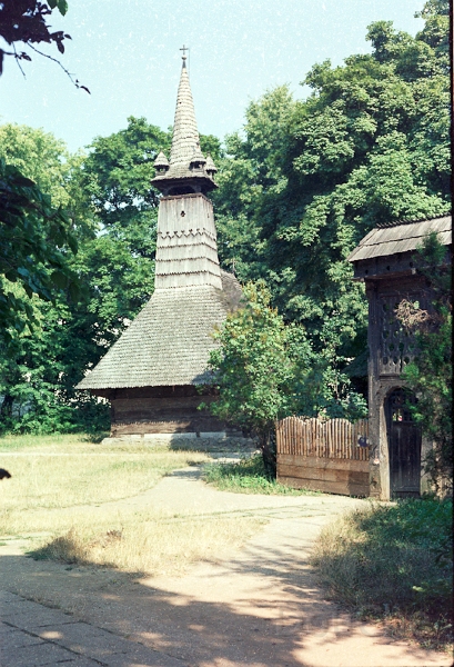20110318_061.jpg