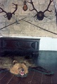 20110318_040