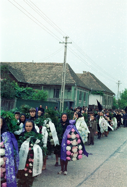 20110319_036.jpg