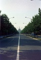 20110318_058