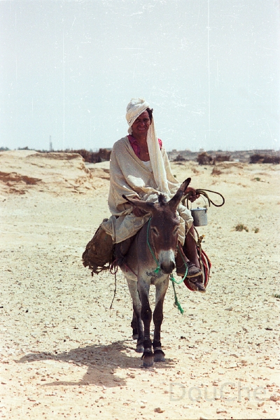 20110324_005.jpg