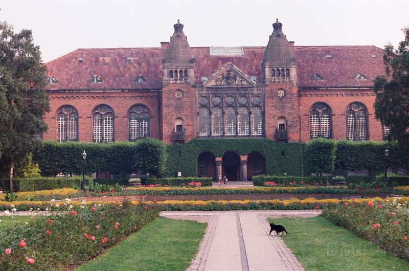 20110403_097.jpg