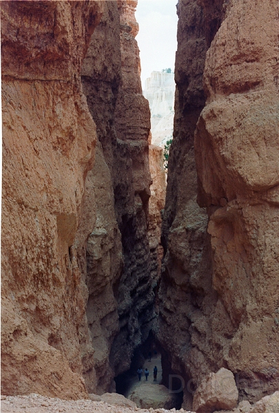 20110320_038.jpg