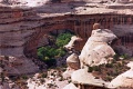 20110320_028