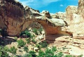20110320_065