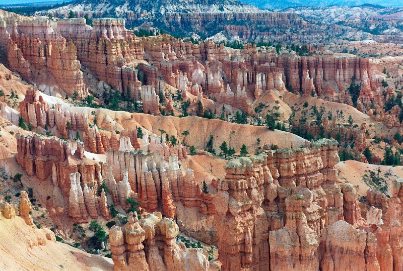 20110320_037.jpg