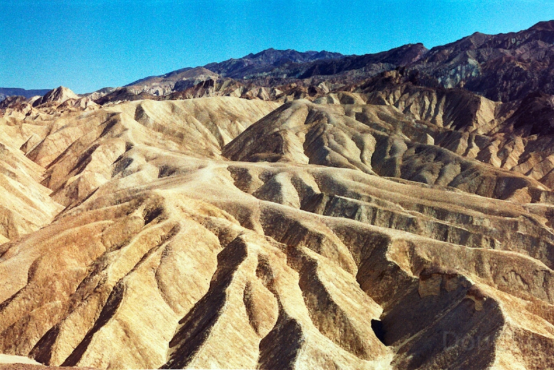 20110322_028.jpg