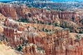 20110320_037