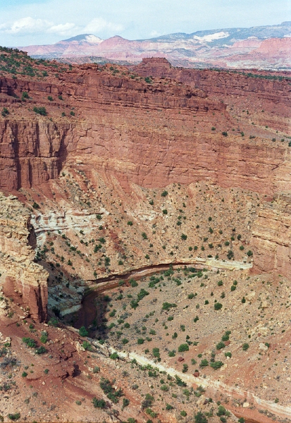 20110320_063.jpg