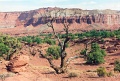 20110320_064