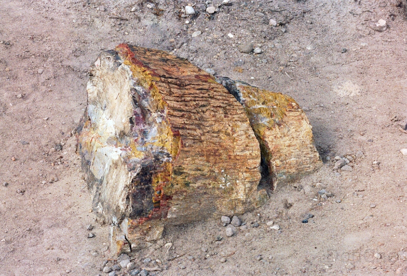 20110320_061.jpg