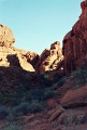 20110320_052