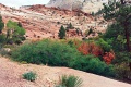 20110320_059