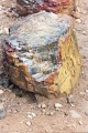 20110320_060