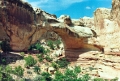 Arches