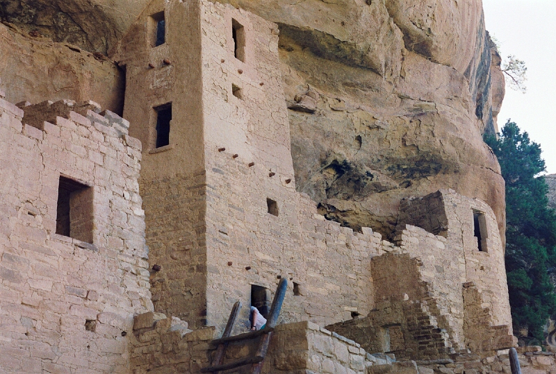 20110320_070.jpg