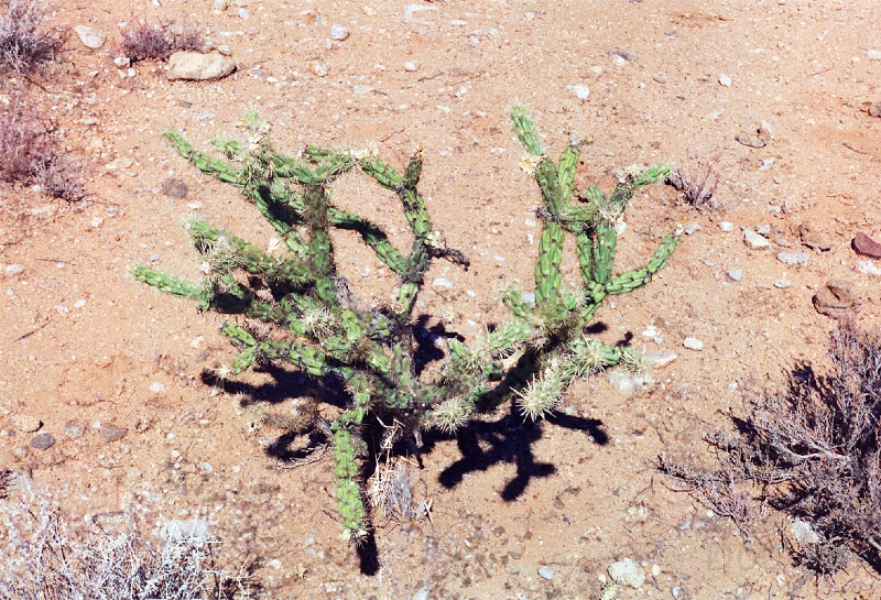 20110321_028.jpg