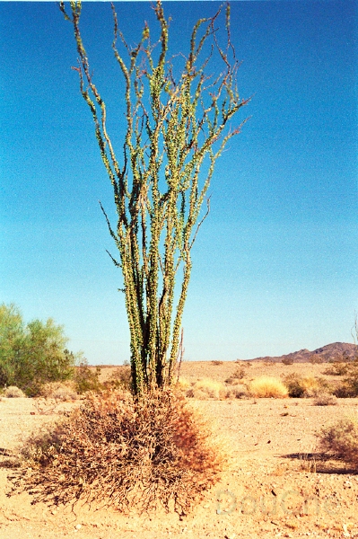 20110321_029.jpg