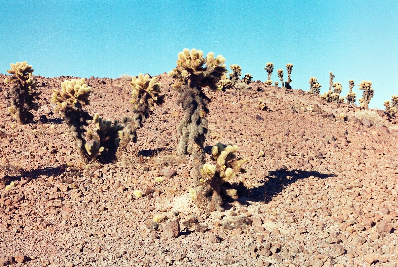 20110321_030.jpg