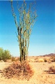 20110321_029