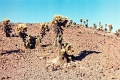 20110321_030