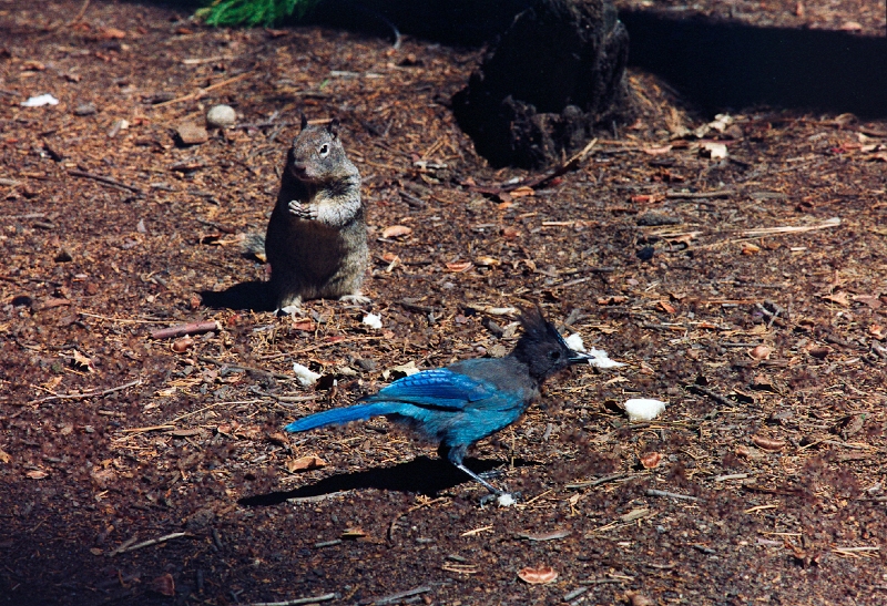 20110320_026.jpg