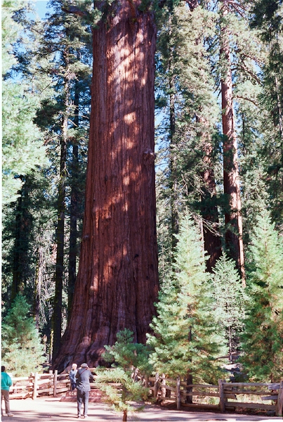 20110322_005.jpg