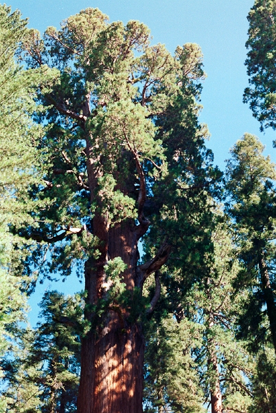 20110322_006.jpg