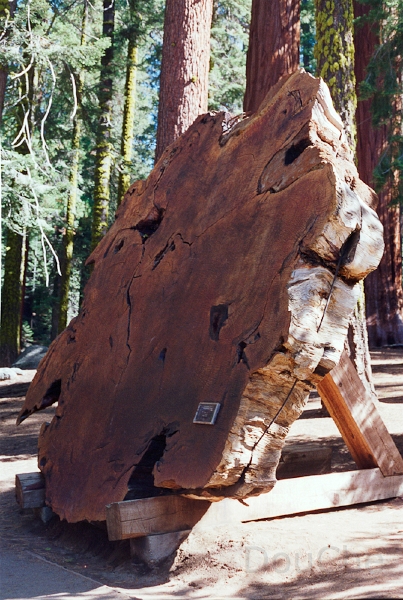 20110322_008.jpg