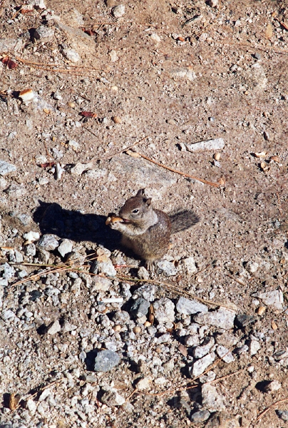 20110322_011.jpg