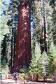 20110322_005