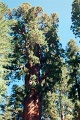 20110322_006
