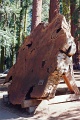 20110322_008