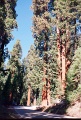 20110322_009
