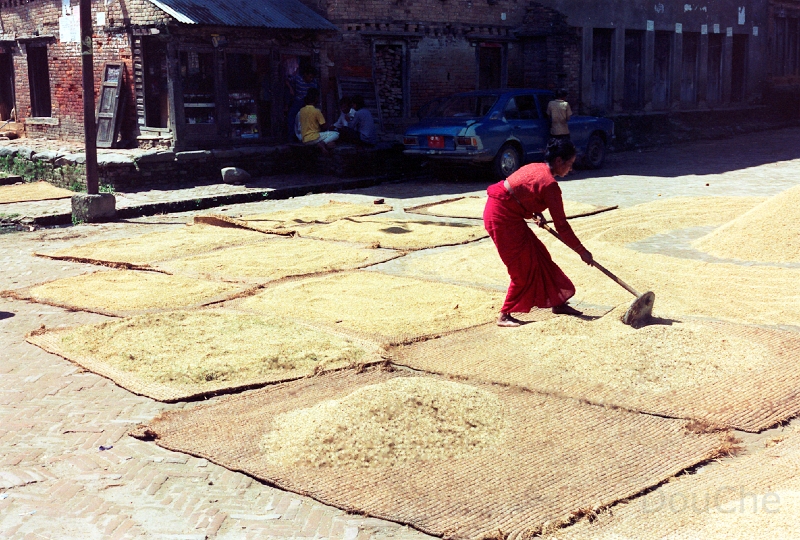 20110302_043.jpg