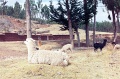 20110212_062