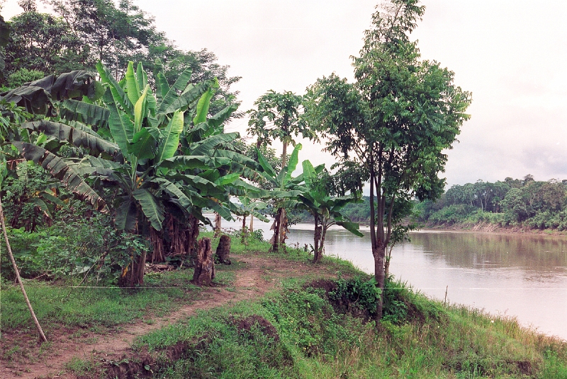 20110213_021.jpg