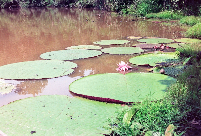 20110213_060.jpg