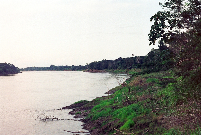 20110213_062.jpg