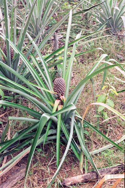 20110213_065.jpg